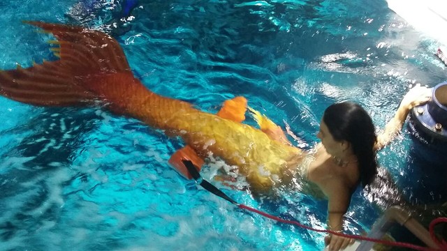 Isis Valverde gravou cena de A Forca do Querer em aquario do Rio de Janeiro