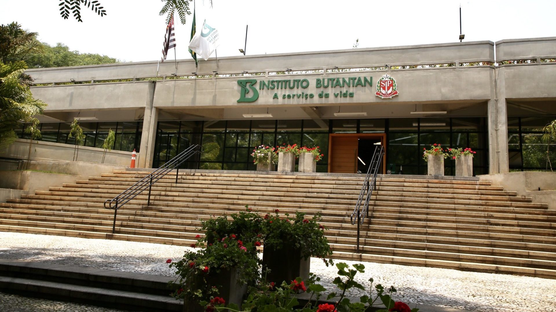 Instituto Butantan (Governo do Estado de São Paulo / TV Cultura)